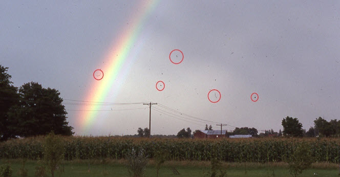 Scanned photo of a rainbow. Dust, dirt and fibres are superimposed on the scan; some are circled to illustrate their presence.