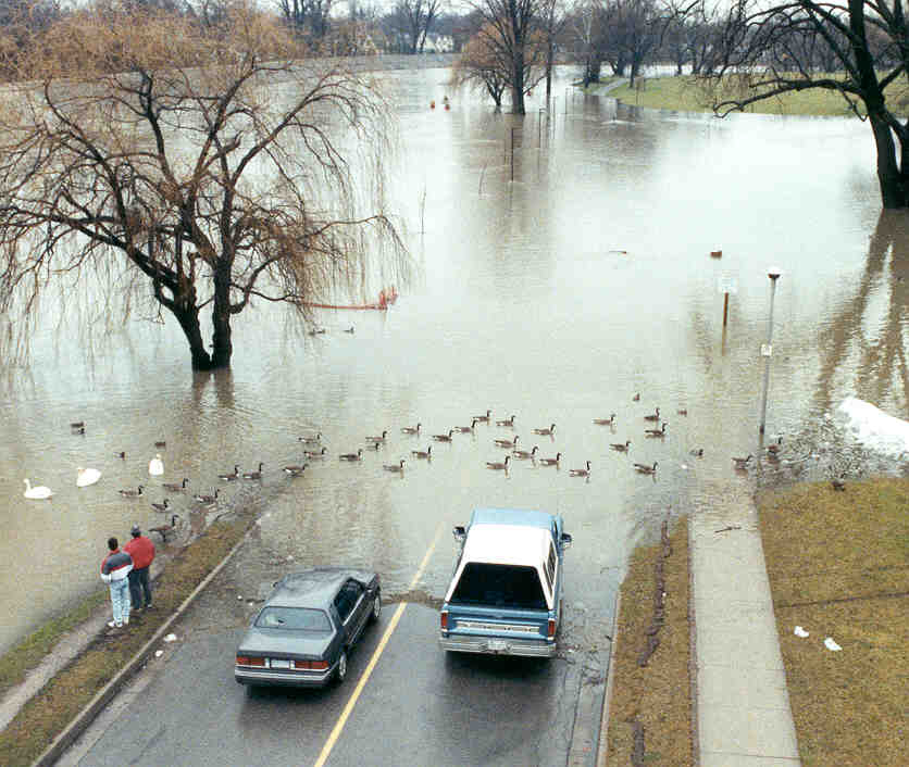 Flooding London Ontario Greencamiljo