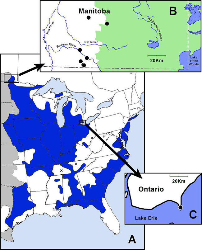 Canadian distribution of the Eastern Tiger Salamander