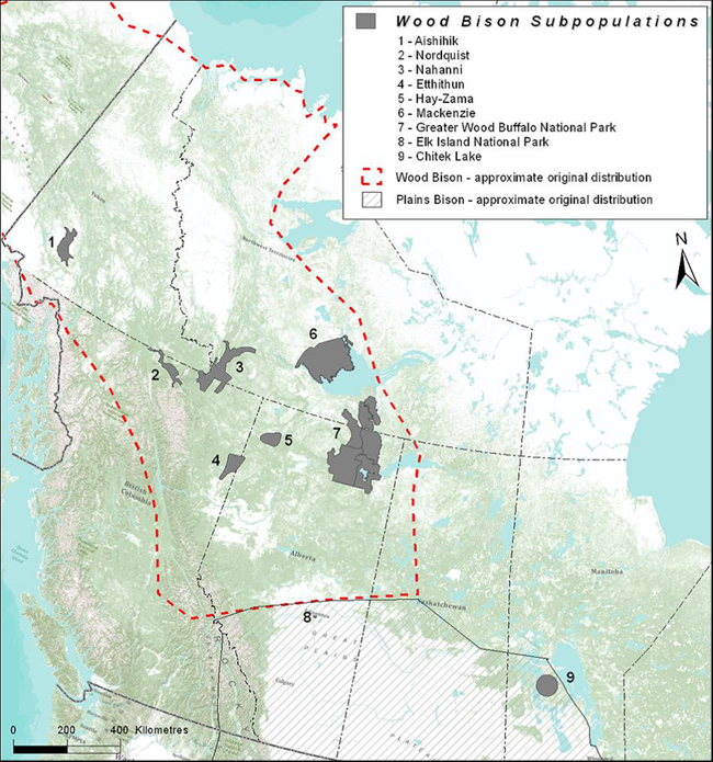 Approximate pre-settlement range of Wood Bison