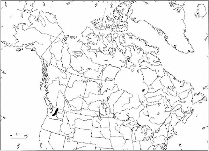 Management Plan for the Lyall’s Mariposa Lily (Calochortus lyallii) in ...