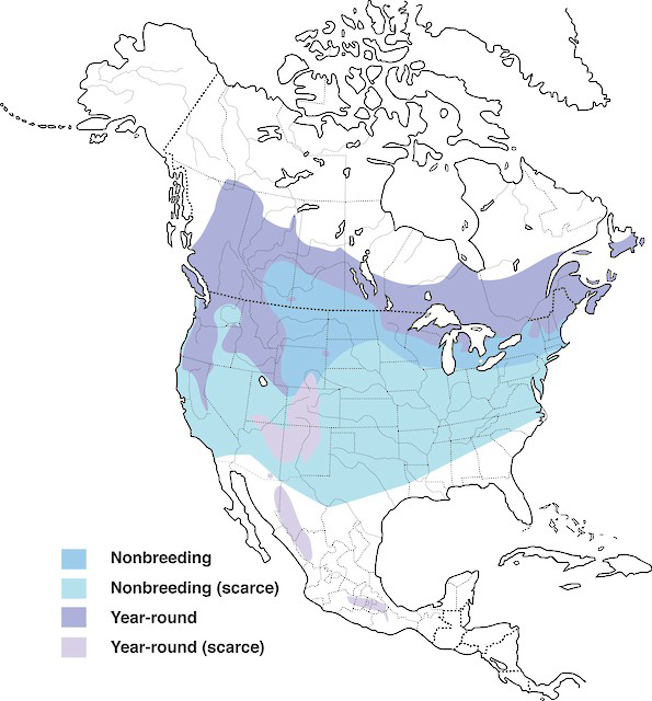 The COSEWIC Summaries of Terrestrial Species Eligible for Addition or ...