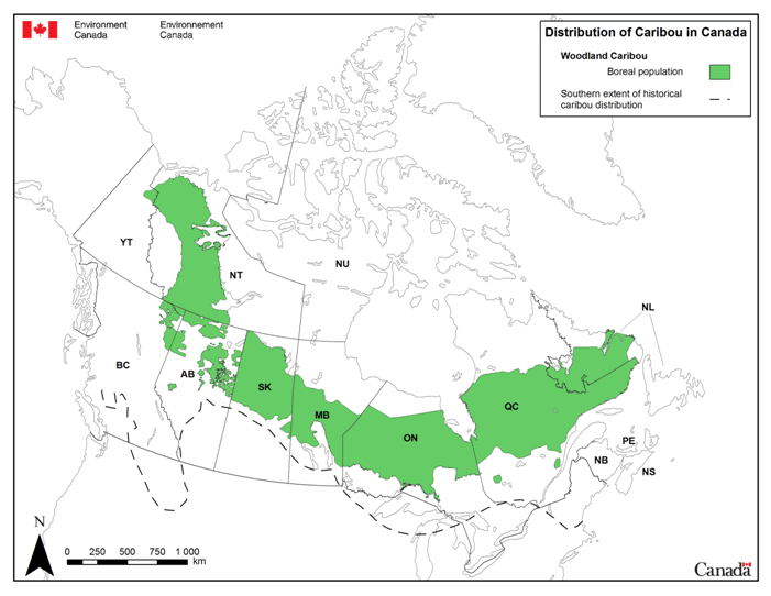 Recovery Strategy for the Woodland Caribou (Rangifer tarandus caribou ...