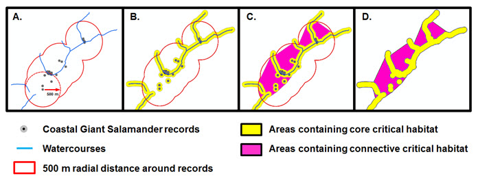 Schematic of methodology used to derive the area(s) containing critical habitat