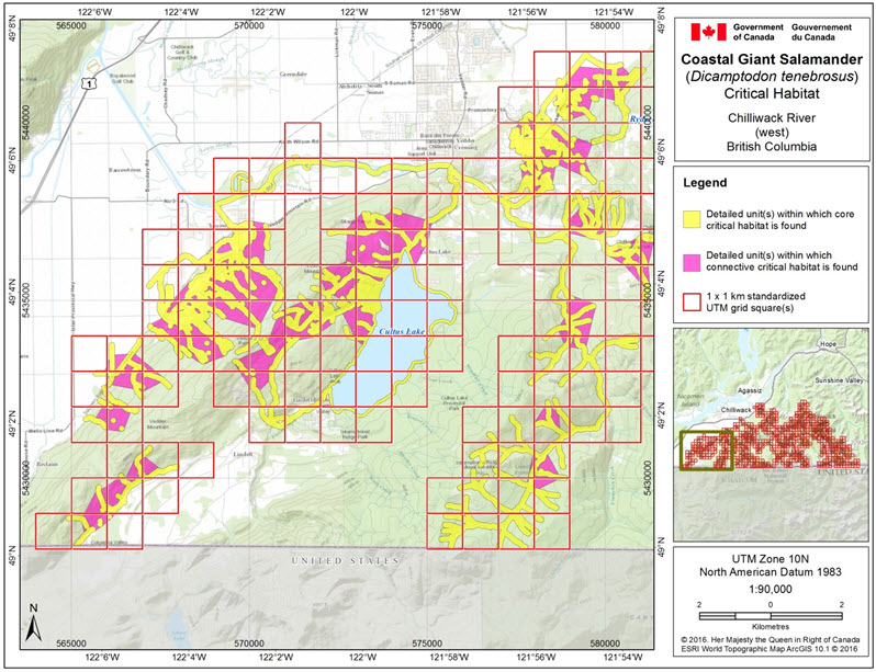 Critical habitat for the Coastal Giant Salamander in the Chilliwack River area (west), B.C.