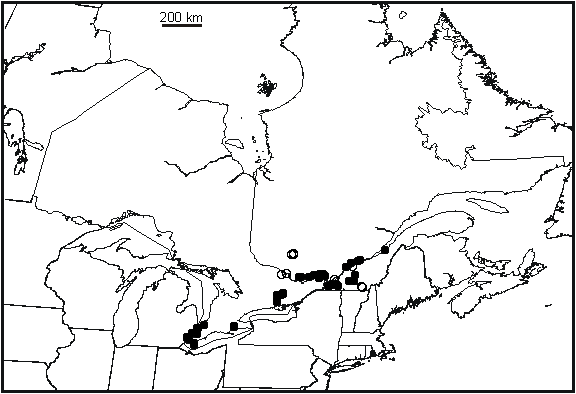 Figure 3. Répartition du fouille-roche gris (Percina copelandi) au Canada