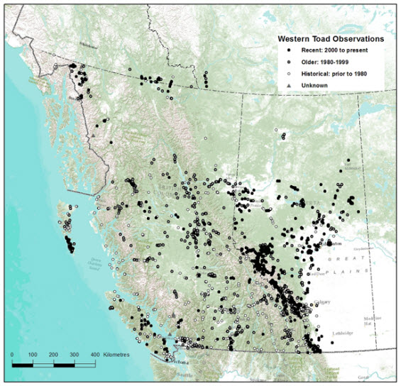 Map of the Canadian distribution of the Western Toad (see long description below).