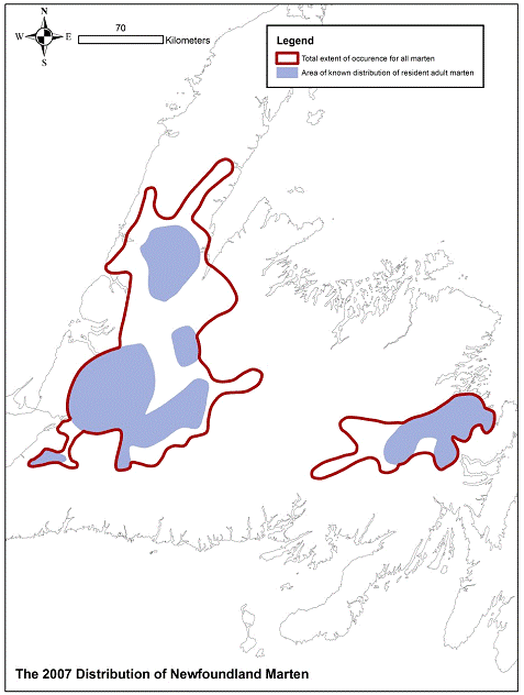 The known total distribution of American marten on the islandof Newfoundlandin 2007