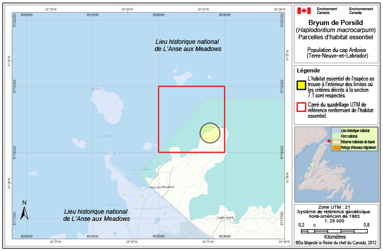 Au cap Ardoise (Terre-Neuve–et–Labrador)