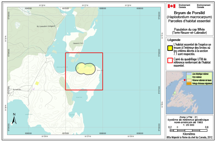 Au cap White (Terre-Neuve–et–Labrador)