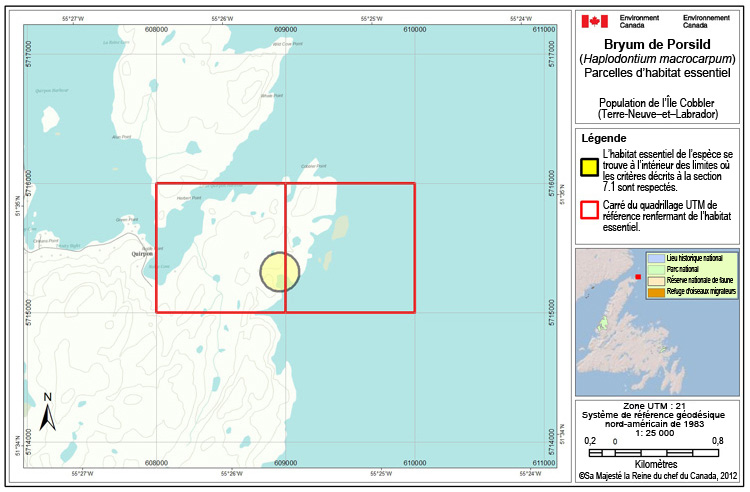 À l'île Cobbler (Terre-Neuve–et–Labrador)