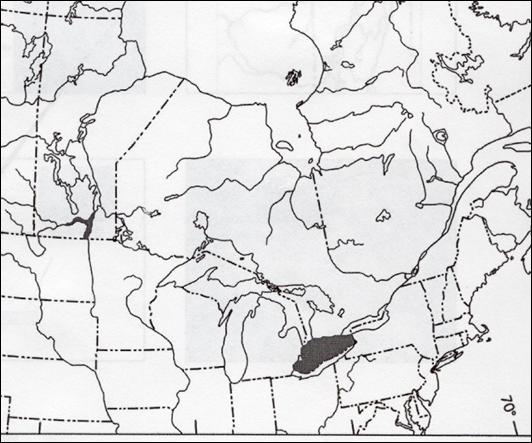 Figure 4. Distribution of Quadrula quadrula in Manitobaand Ontario.