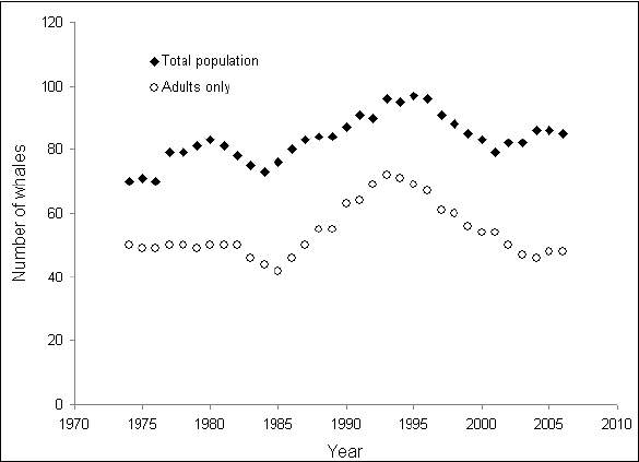 Whale Population Chart