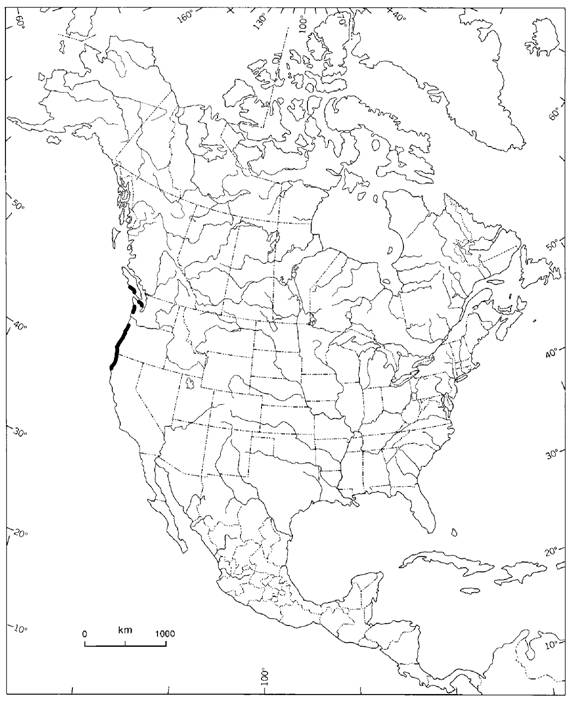 Figure 2.  Historic distribution of Abronia umbellata inNorth America.