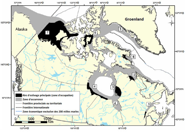 Figure 2 : Localisation des sept populations canadiennes de bélugas : 1) population de l’estuaire du Saint-Laurent; 2) population de la baie d’Ungava; 3) population de l’est de la baie d’Hudson; 4) population de l’ouest de la baie d’Hudson; 5) population de l’est du haut Arctique et de la baie de Baffin; 6) population de la baie Cumberland; 7) population de l’est de la mer de Beaufort.