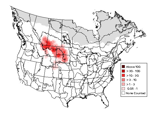 Breeding distribution of the Chestnut-collared Longspur