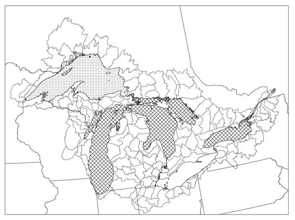 Figure 2.  Global distribution of the kiyi, Coregonus kiyi. Fine dots represent lake in which it is extant. Cross-hatching represents lakes in which it is extirpated.