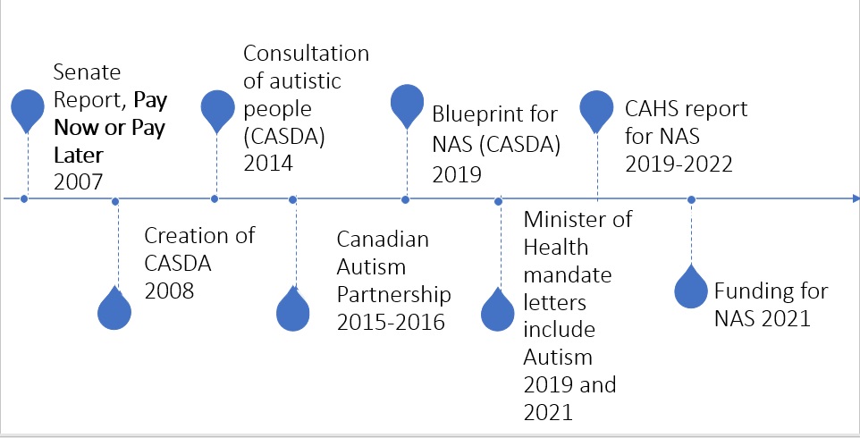 Figure 3: Timeline – Development of the National Autism Strategy