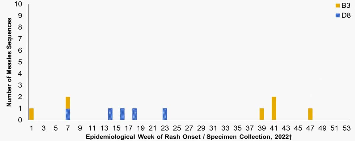 Figure 4: Distribution of measles genotypes detected in 2023 (n=11) by week*** of rash onset.