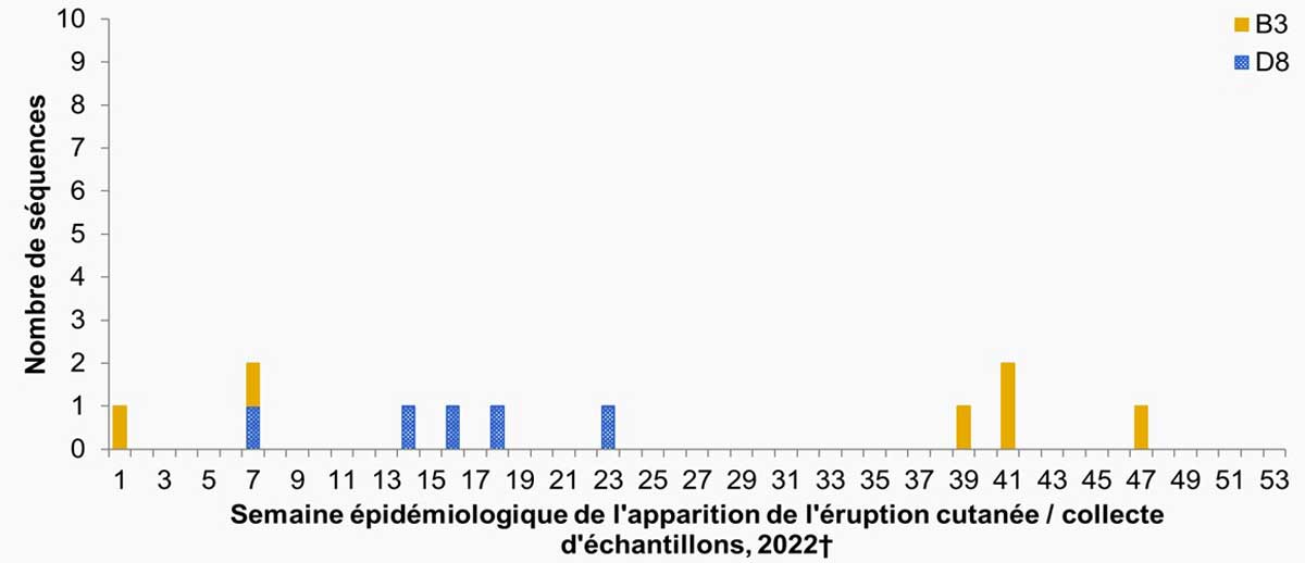 Figure 4 : Répartition des génotypes des souches de rougeole détectées parmi les cas de 2023 (n = 11), par semaine d'apparition Note de bas de page*** de l'éruption cutanée.