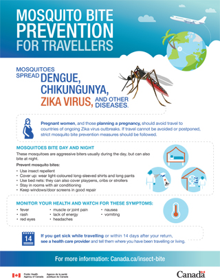 Mosquito bite prevention for travellers - Canada.ca