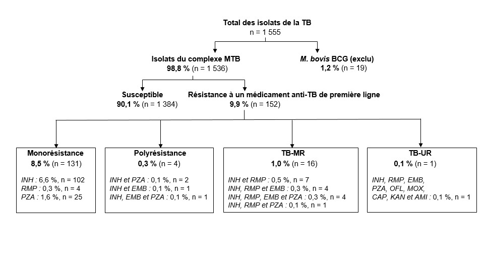 Figure 7. Isolats-de-Mycobacterium-tuberculosis(MTB)-de-cas-de-TB-active