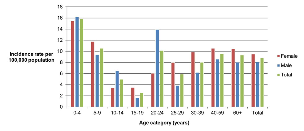 Figure 2.4 Text version below.