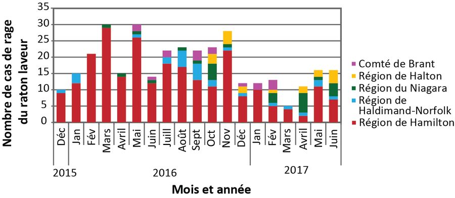 Figure 1 : Courbe épizootique montrant le déroulement de l'épidémie de rage du raton laveur en Ontario, de décembre 2015 à juin 2017