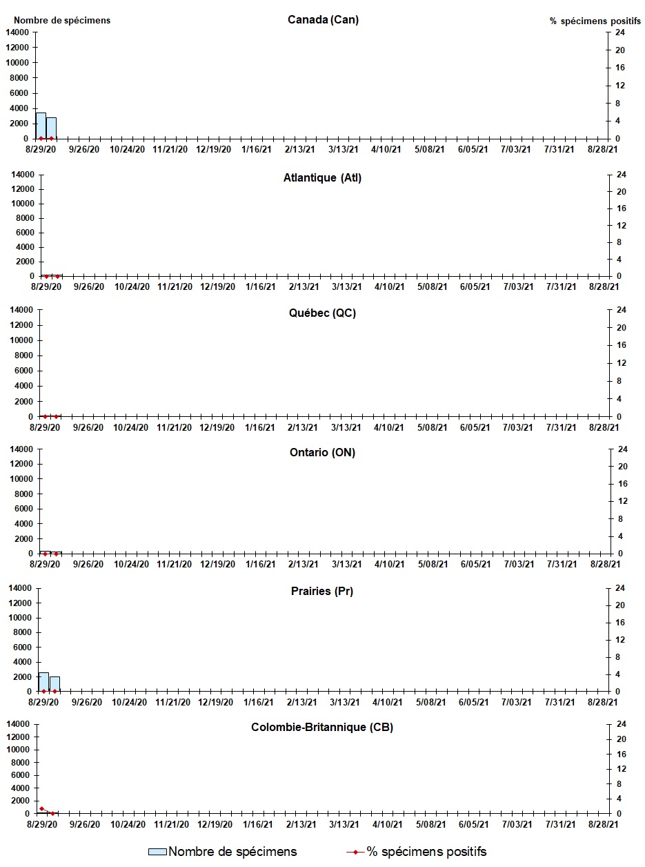 Figure 6. La version textuelle suit