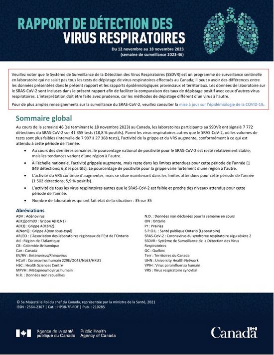 Rapport de virus des voies respiratoires