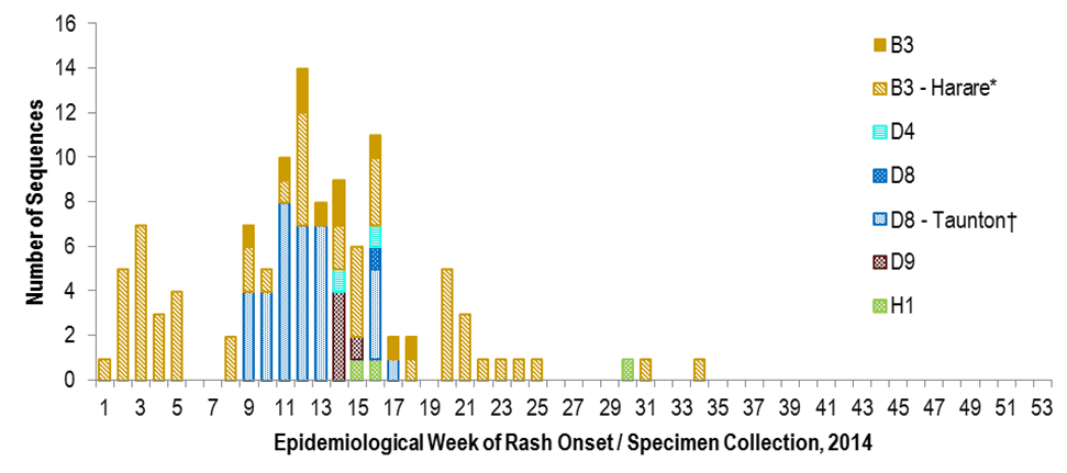 Figure 2: Distribution of measles genotypes detected in 2014 (n=111) by week of rash onset (if available, n=94) or specimen collection (n=17)
