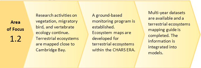 Area of Focus 1.2