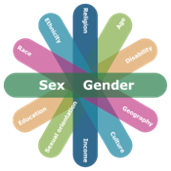 Gender-Based Analysis plus (GBA+) Action Plan 2019-21 - Canada.ca