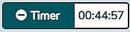 Timer button displaying, from left to right, a minus symbol, the word “Timer”, and the time remaining to do the test, which shows “00:44:57”.