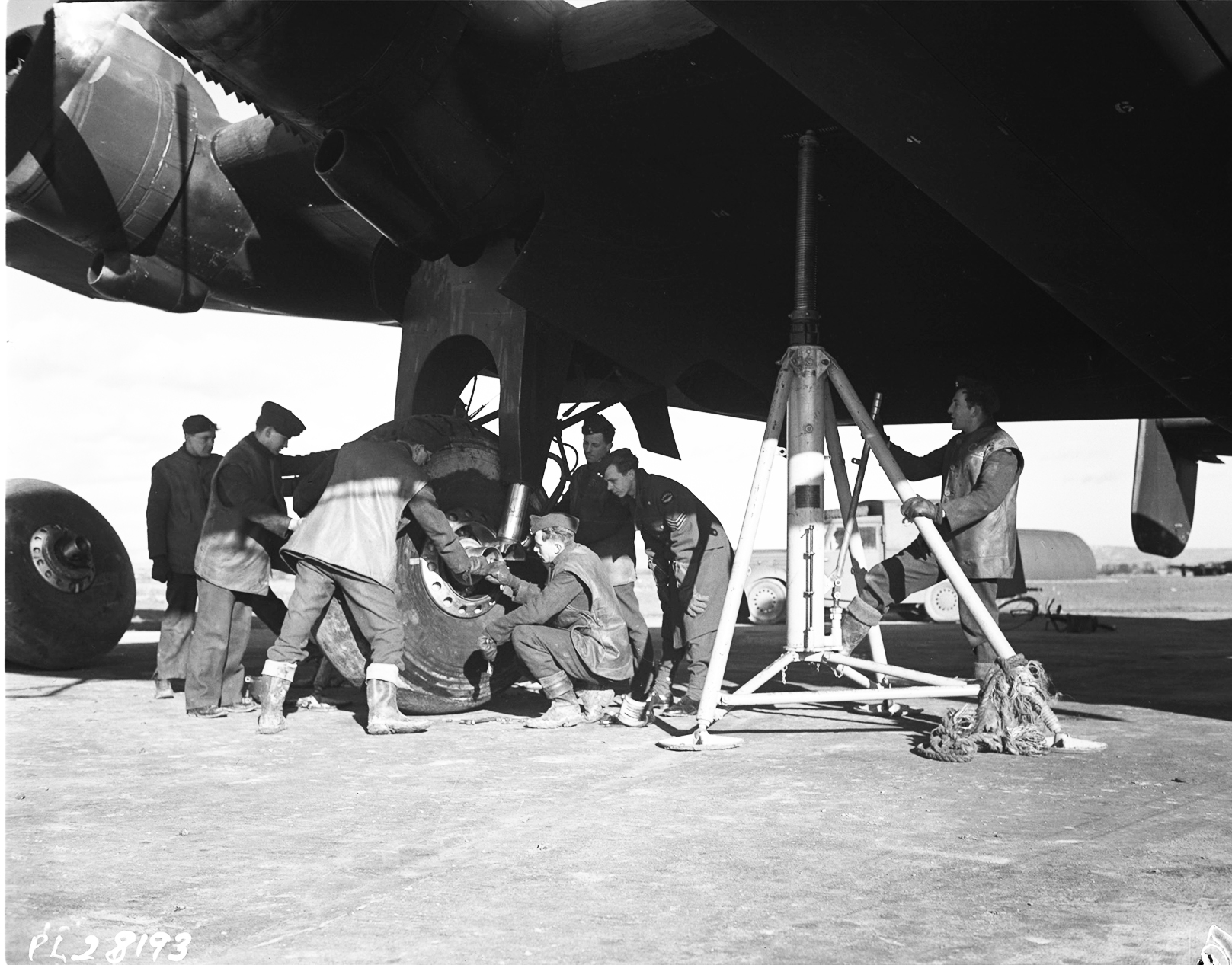 Evolution: Royal Canadian Air Force returns to a four fighter squadron ...