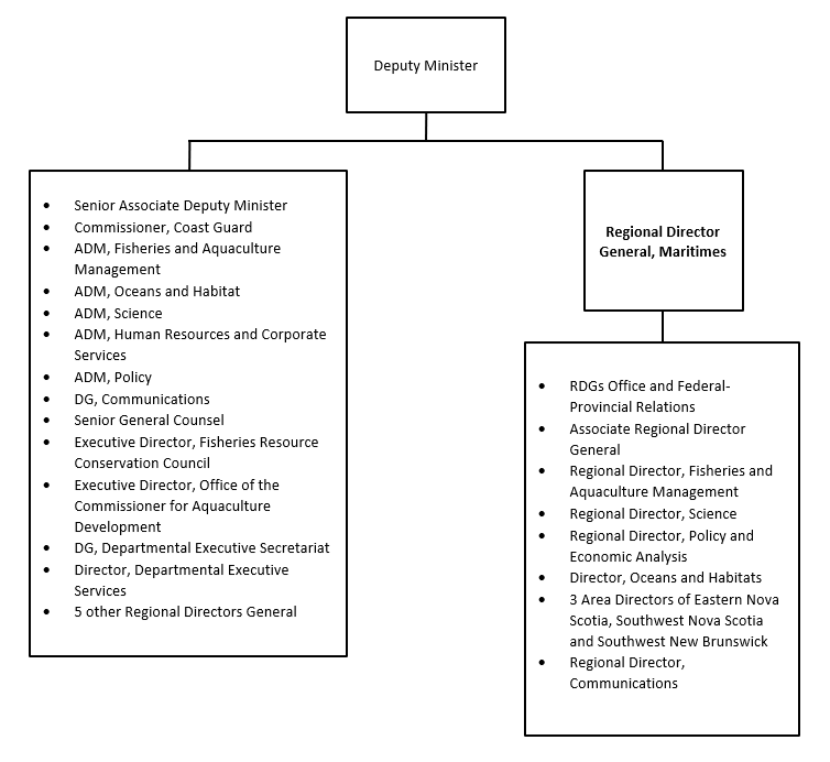 Organization Chart. Text version below: