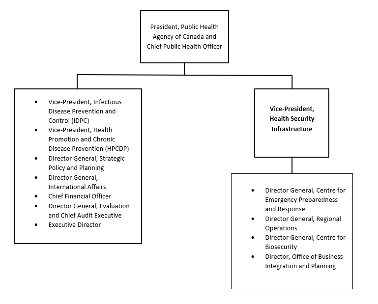 Organization Chart. Text version below: