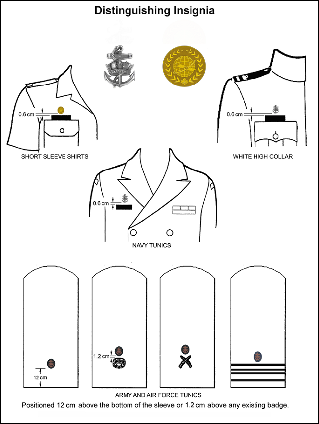 Dress instructions | Section 6 Distinguishing insignia and awards ...